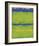 No. 1967 Olive Green Blue-Carmine Thorner-Framed Art Print