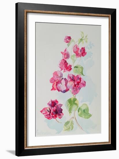 No.2 Bougainvillea Red-Izabella Godlewska de Aranda-Framed Giclee Print