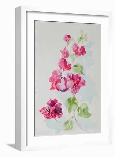 No.2 Bougainvillea Red-Izabella Godlewska de Aranda-Framed Giclee Print