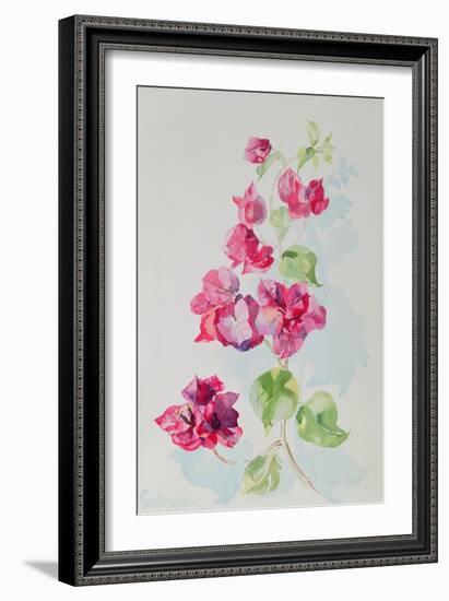 No.2 Bougainvillea Red-Izabella Godlewska de Aranda-Framed Giclee Print