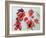 No.24 Autumn Maple Leaves-Izabella Godlewska de Aranda-Framed Giclee Print