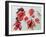 No.24 Autumn Maple Leaves-Izabella Godlewska de Aranda-Framed Giclee Print