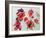 No.24 Autumn Maple Leaves-Izabella Godlewska de Aranda-Framed Giclee Print