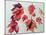No.24 Autumn Maple Leaves-Izabella Godlewska de Aranda-Mounted Giclee Print