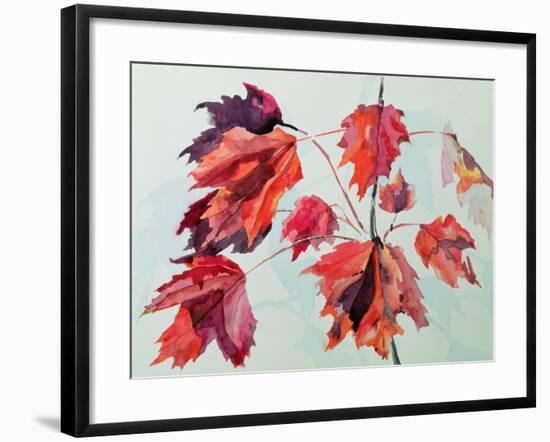 No.24 Autumn Maple Leaves-Izabella Godlewska de Aranda-Framed Giclee Print