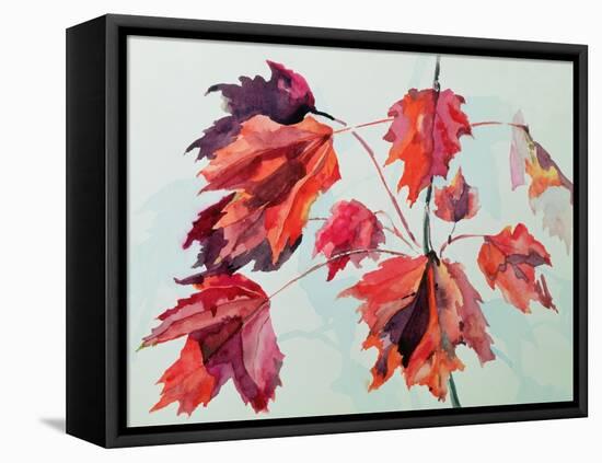 No.24 Autumn Maple Leaves-Izabella Godlewska de Aranda-Framed Premier Image Canvas