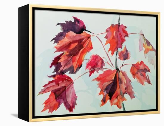 No.24 Autumn Maple Leaves-Izabella Godlewska de Aranda-Framed Premier Image Canvas