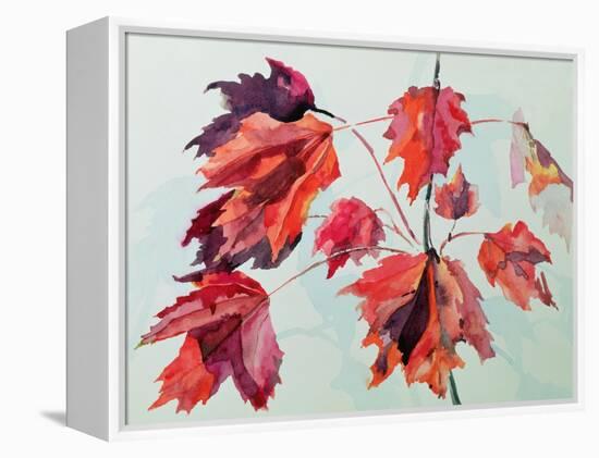 No.24 Autumn Maple Leaves-Izabella Godlewska de Aranda-Framed Premier Image Canvas