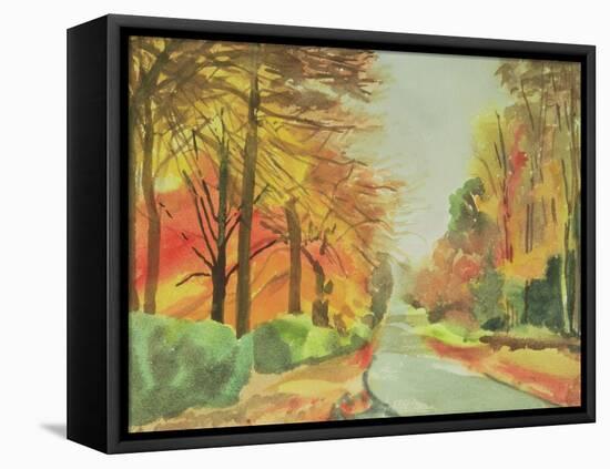 No.47 Autumn, Beaufays Road, Liege, Belgium-Izabella Godlewska de Aranda-Framed Premier Image Canvas