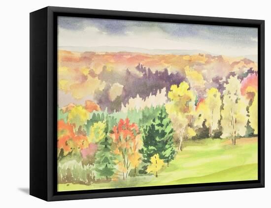No.64 Autumn, Beaufays, Liege, Belgium-Izabella Godlewska de Aranda-Framed Premier Image Canvas