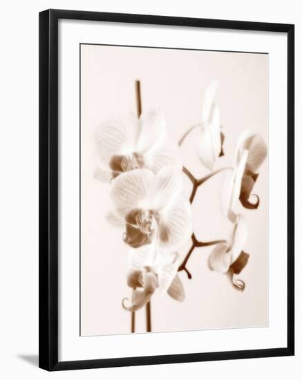 No Boundaries I-Ily Szilagyi-Framed Giclee Print