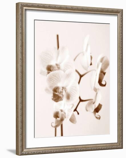 No Boundaries I-Ily Szilagyi-Framed Giclee Print