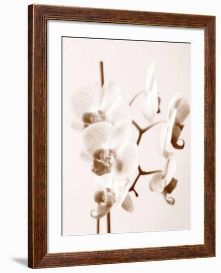 No Boundaries I-Ily Szilagyi-Framed Giclee Print