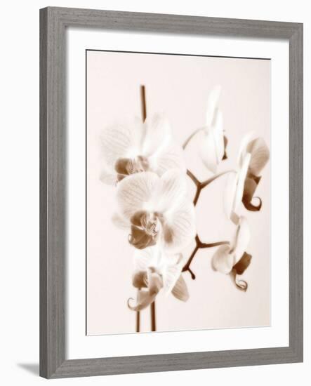 No Boundaries I-Ily Szilagyi-Framed Giclee Print