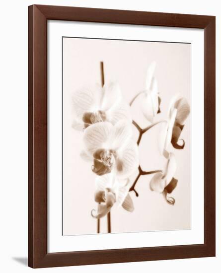 No Boundaries I-Ily Szilagyi-Framed Giclee Print