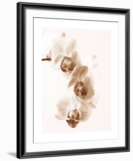 No Boundaries II-Ily Szilagyi-Framed Giclee Print