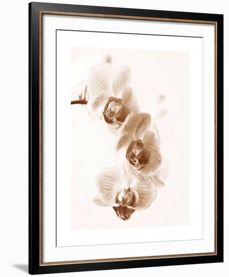 No Boundaries II-Ily Szilagyi-Framed Giclee Print