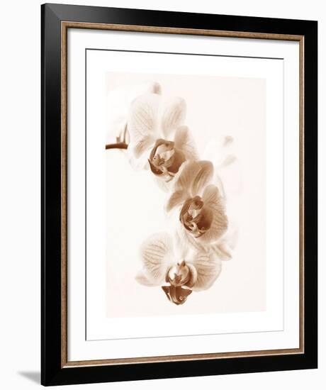 No Boundaries II-Ily Szilagyi-Framed Giclee Print