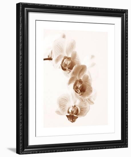 No Boundaries II-Ily Szilagyi-Framed Giclee Print