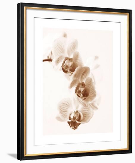 No Boundaries II-Ily Szilagyi-Framed Giclee Print