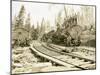 No. Camp, C.H. Clemons Logging Co, Melbourne, WA, 1918-Clark Kinsey-Mounted Giclee Print