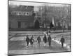 Photographic Print