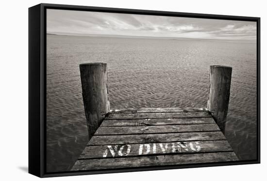 No Diving-SD Smart-Framed Stretched Canvas