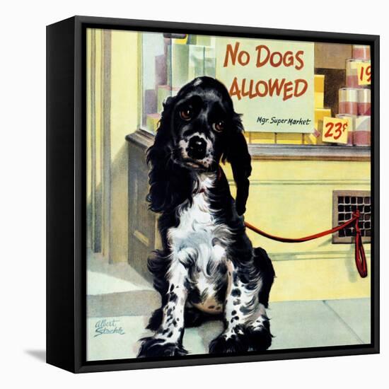 "No Dogs Allowed," August 24, 1946-Albert Staehle-Framed Premier Image Canvas