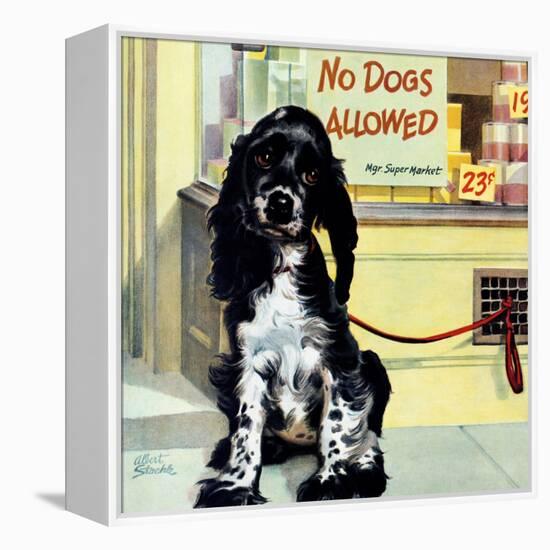 "No Dogs Allowed," August 24, 1946-Albert Staehle-Framed Premier Image Canvas