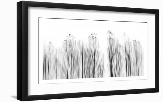 No Grounds-Paulo Abrantes-Framed Giclee Print