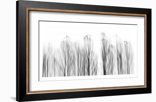 No Grounds-Paulo Abrantes-Framed Giclee Print