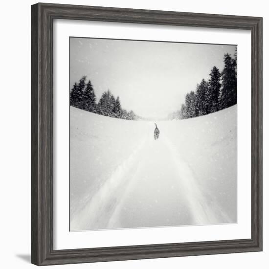 No Me Dejes-Luis Beltran-Framed Photographic Print