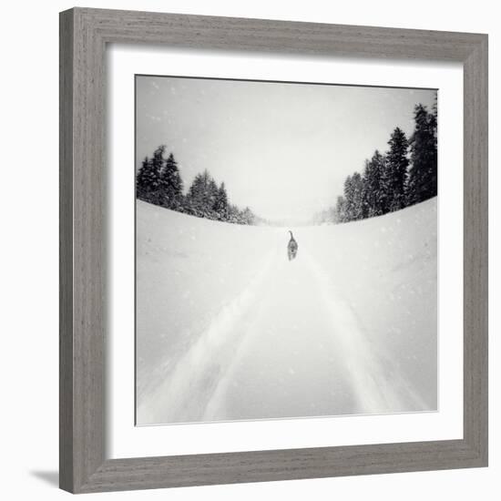 No Me Dejes-Luis Beltran-Framed Photographic Print