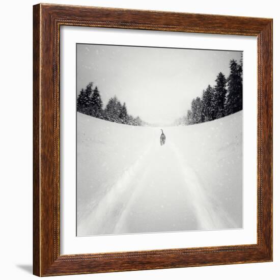 No Me Dejes-Luis Beltran-Framed Photographic Print