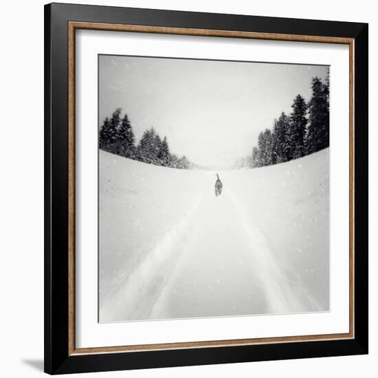 No Me Dejes-Luis Beltran-Framed Photographic Print