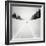 No Me Dejes-Luis Beltran-Framed Photographic Print