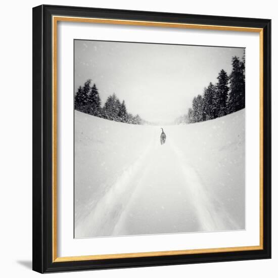 No Me Dejes-Luis Beltran-Framed Photographic Print