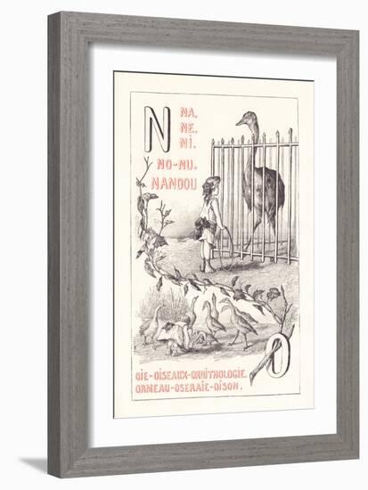 No: NA NE NI NO NU - Nandou - Goose - Birds - Ornitology - Abalone - Rose Garden — Oison 1.879 (Eng-Fortune Louis Meaulle-Framed Giclee Print