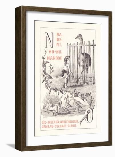 No: NA NE NI NO NU - Nandou - Goose - Birds - Ornitology - Abalone - Rose Garden — Oison 1.879 (Eng-Fortune Louis Meaulle-Framed Giclee Print