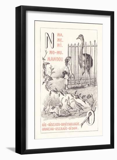 No: NA NE NI NO NU - Nandou - Goose - Birds - Ornitology - Abalone - Rose Garden — Oison 1.879 (Eng-Fortune Louis Meaulle-Framed Giclee Print