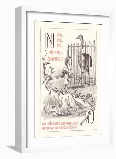 No: NA NE NI NO NU - Nandou - Goose - Birds - Ornitology - Abalone - Rose Garden — Oison 1.879 (Eng-Fortune Louis Meaulle-Framed Giclee Print