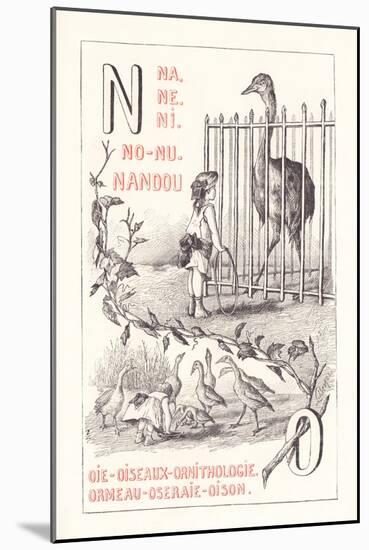 No: NA NE NI NO NU - Nandou - Goose - Birds - Ornitology - Abalone - Rose Garden — Oison 1.879 (Eng-Fortune Louis Meaulle-Mounted Giclee Print