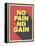 No Pain No Gain-null-Framed Stretched Canvas