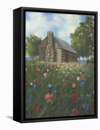 No Place Like Home-David Swanagin-Framed Stretched Canvas
