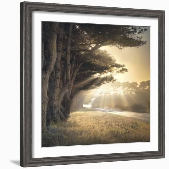 No Place To Fall-William Vanscoy-Framed Art Print