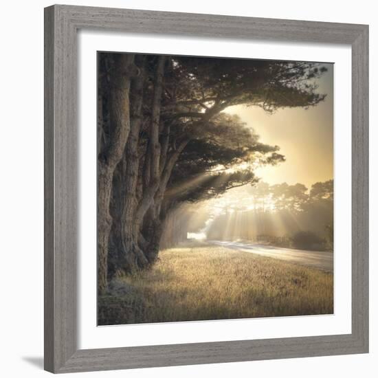 No Place To Fall-William Vanscoy-Framed Art Print