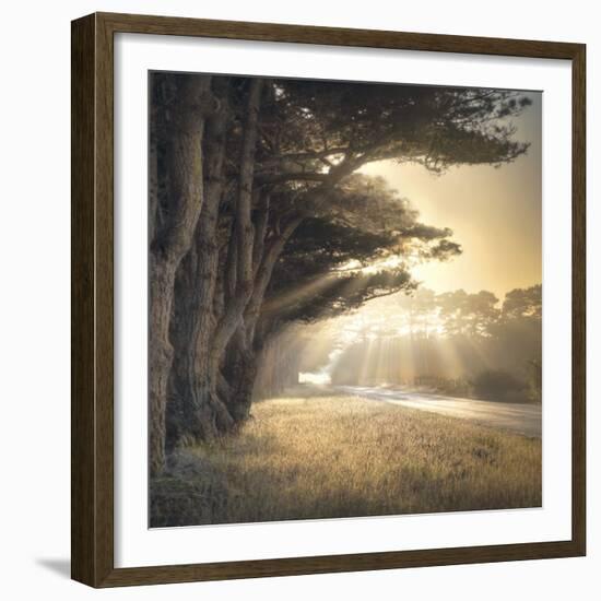 No Place To Fall-William Vanscoy-Framed Art Print