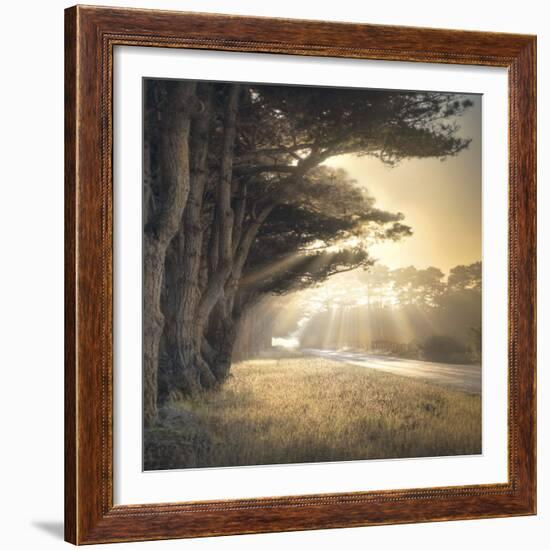 No Place To Fall-William Vanscoy-Framed Art Print