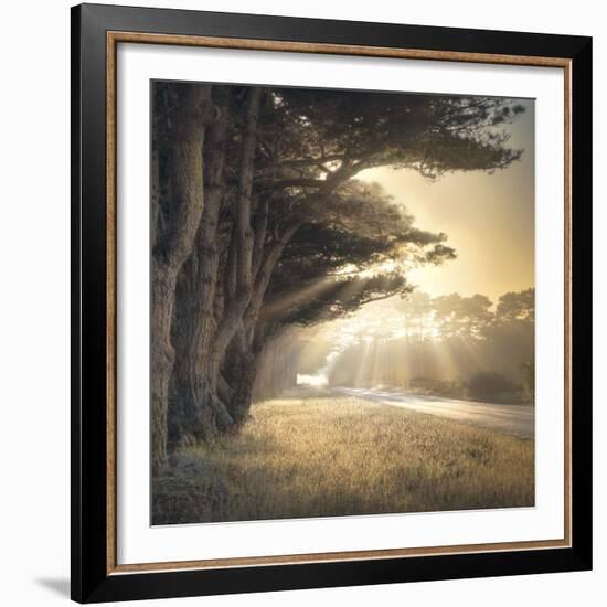 No Place To Fall-William Vanscoy-Framed Art Print