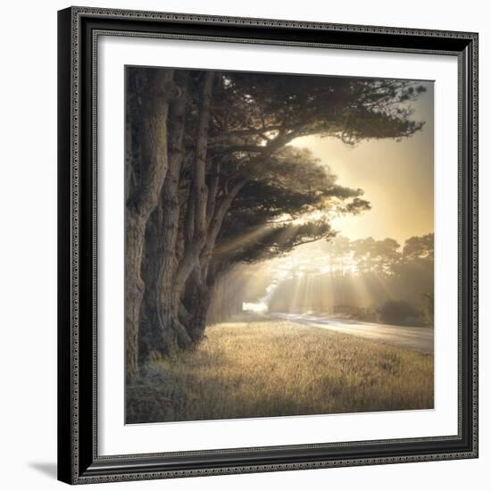 No Place To Fall-William Vanscoy-Framed Art Print